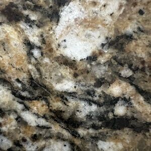 Bleu Rod Beattie Heat Of The Moment Shirred One Piece Swimsuit Size 10